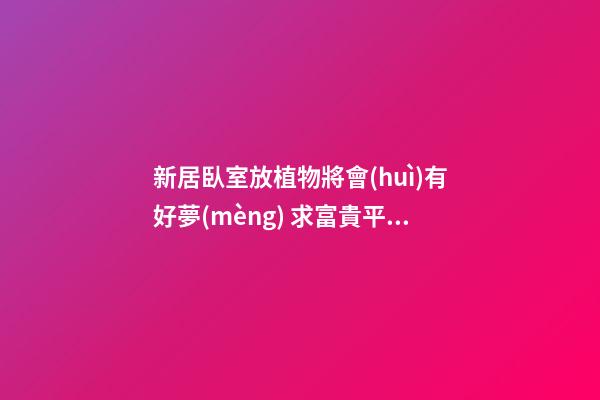 新居臥室放植物將會(huì)有好夢(mèng) 求富貴平安的人求好夢(mèng)首選富貴竹植物